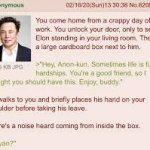 Elon Catgirl meme