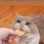 Sad cat eating chip | WHEN YOU ARE EATING SOMETHING BUT THEN YOUR MOUTH MUSSELS GIVE OUT | image tagged in sad cat eating chip | made w/ Imgflip meme maker