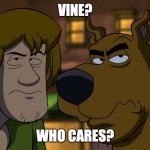 who cares? | VINE? WHO CARES? | image tagged in who cares | made w/ Imgflip meme maker