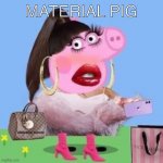 Material Pig | MATERIAL PIG | image tagged in material pig | made w/ Imgflip meme maker