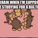 Screw finding x, this is from important! | MY BRAIN WHEN I’M SUPPOSED TO BE STUDYING FOR A BIG TEST: | image tagged in gifs,monke | made w/ Imgflip video-to-gif maker