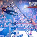 WWE Wrestling Fury Ladder Fall