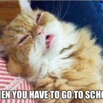 Cat sleepy | WHEN YOU HAVE TO GO TO SCHOOL | image tagged in cat sleepy | made w/ Imgflip meme maker