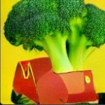 broccoli car meme