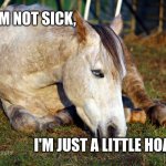 I'm not sick | I'M NOT SICK, @KoronaMatata; I'M JUST A LITTLE HOARSE; @KoronaMatata | image tagged in sick horse | made w/ Imgflip meme maker