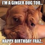 Ginger wish good day | I’M A GINGER DUG TOO.., HAPPY BIRTHDAY FRAZ.. | image tagged in ginger wish good day | made w/ Imgflip meme maker