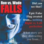 Roe v. Wade falls