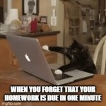 lol | WHEN YOU FORGET THAT YOUR HOMEWORK IS DUE IN ONE MINUTE | image tagged in gifs,funny,fun | made w/ Imgflip video-to-gif maker