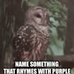 It’s feels not possible | NAME SOMETHING THAT RHYMES WITH PURPLE | image tagged in gifs,rhymes,owl | made w/ Imgflip video-to-gif maker