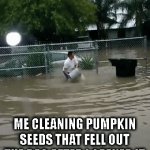 SEEDS | ME CLEANING PUMPKIN SEEDS THAT FELL OUT THE BAG AFTER I OPENED IT | image tagged in gifs,cleaning,cleaning pumpkin seed,pumpkin | made w/ Imgflip video-to-gif maker