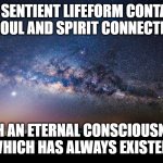 ANY SENTIENT LIFEFORM | ANY SENTIENT LIFEFORM CONTAINS A SOUL AND SPIRIT CONNECTION; WITH AN ETERNAL CONSCIOUSNESS, WHICH HAS ALWAYS EXISTED | image tagged in sentient starfield | made w/ Imgflip meme maker