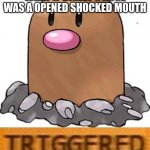 e | WHAT IF DIGLET'S NOSE WAS A OPENED SHOCKED MOUTH | image tagged in triggered diglett | made w/ Imgflip meme maker