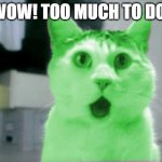OMG RayCat | WOW! TOO MUCH TO DO! | image tagged in omg raycat | made w/ Imgflip meme maker