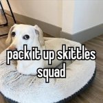 Homophobic dog Skittles meme