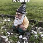New manure | WANT GRASS TO GROW? I’M ON IT | image tagged in pooping gnome | made w/ Imgflip meme maker