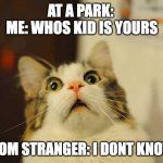 Scared Cat | AT A PARK: 
ME: WHOS KID IS YOURS; RANDOM STRANGER: I DONT KNOW YET | image tagged in scared cat,memes,lol | made w/ Imgflip meme maker