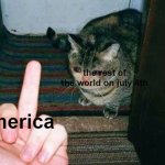 middle finger sad cat | the rest of the world on july 4th; america | image tagged in middle finger sad cat,america,4th of july | made w/ Imgflip meme maker