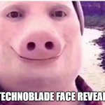 Technoblade face | TECHNOBLADE FACE REVEAL: | image tagged in pig face | made w/ Imgflip meme maker