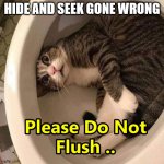 Flush the Magic Cat | HIDE AND SEEK GONE WRONG | image tagged in flush the magic cat | made w/ Imgflip meme maker