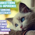 Q: How Do You Help Someone Who Just Lost A Friend?  A: Be There | THE SADDEST THING YOU WILL EXPERIENCE; IS SOMEONE ELSE'S DEATH; IT'S GOING TO BE HARD BUT YOU'LL MAKE IT THROUGH.  JUST BREATHE; JUST BREATHE | image tagged in memes,first world problems cat,death,loss,grief,sad but true | made w/ Imgflip meme maker