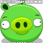 why are you here | THIS IS NOT A REALISTIC ANGRY BIRDS MEME KEEP SCROLLING | image tagged in memes,angry birds pig | made w/ Imgflip meme maker