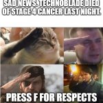 I believe you technoblade | SAD NEWS. TECHNOBLADE DIED OF STAGE 4 CANCER LAST NIGHT. PRESS F FOR RESPECTS | image tagged in the group salute | made w/ Imgflip meme maker