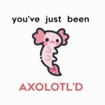 you've just been axolotl'd GIF Template