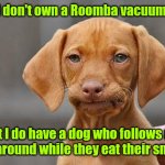 Dog sitting for my brother-in-law. | I don't own a Roomba vacuum, but I do have a dog who follows my kids around while they eat their snacks. | image tagged in dissapointed puppy,funny | made w/ Imgflip meme maker