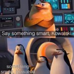 Say something smart Kowalski | something smart, Kowalski | image tagged in say something smart kowalski | made w/ Imgflip meme maker