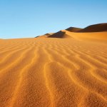 Sahara