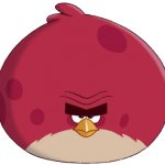 Terence (Angry Birds Toons style) meme