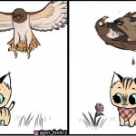Brutus saving Pixie from an eagle