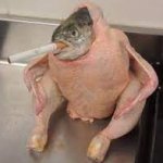 Fish cigarette chicken