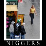Niggs