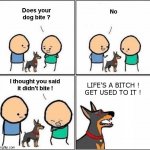A Lesson For Life ! | LIFE'S A BITCH !
GET USED TO IT ! | image tagged in does your dog bite,life lessons | made w/ Imgflip meme maker