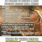 JEWISH STRATEGY FOR WHITE GENOCIDE