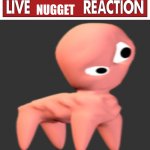 Live Nugget Reaction