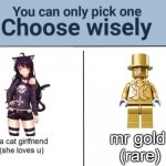 i choose mr gold | mr gold 
(rare) | image tagged in choose wisely,lego,choose your fighter,gold | made w/ Imgflip meme maker