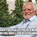 I think his face just does that | WHEN YOU REALIZE YOU'RE A MEME ABOUT SMILING WHILE YOU'RE SCREAMING INSIDE | image tagged in hide the pain harold 2 | made w/ Imgflip meme maker
