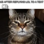 Grumpy cat | ME AFTER REPLYING LOL TO A TEXT; ME: | image tagged in grumpy cat | made w/ Imgflip meme maker