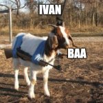Ivan says hi | IVAN; BAA | image tagged in goun | made w/ Imgflip meme maker