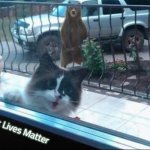 The cat and the bear | Slavic Lives Matter | image tagged in the cat and the bear,slavic,blacklabel jedih,freddie fingaz,bars over bars | made w/ Imgflip meme maker