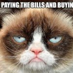 Grumpy Cat Not Amused | AFTER PAYING THE BILLS AND BUYING GAS | image tagged in memes,grumpy cat not amused,grumpy cat | made w/ Imgflip meme maker