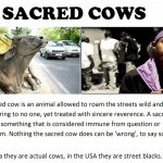 BLACKS IN USA TODAY