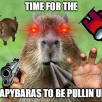 capybaras pullin up | TIME FOR THE; CAPYBARAS TO BE PULLIN UP: | image tagged in capybara is not amused | made w/ Imgflip meme maker