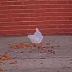 Plastic bag drifting through the wind