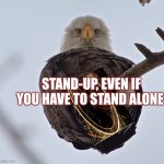 Stand up | STAND-UP, EVEN IF YOU HAVE TO STAND ALONE | image tagged in eagle | made w/ Imgflip meme maker