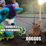 Sky Booms | THUNDERS AND FIREWORKS; DOGGOS | image tagged in furry scaring dog | made w/ Imgflip meme maker