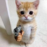 Standing Cat with Gun meme