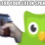 Beg for your life in spanish | BEG FOR YOUR LIFE IN SPANISH | image tagged in duolingo gun | made w/ Imgflip meme maker